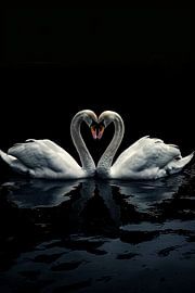Two swans in dark reflection by Art & Soul Creations