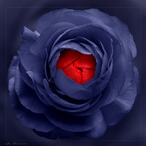 Dormant Passion