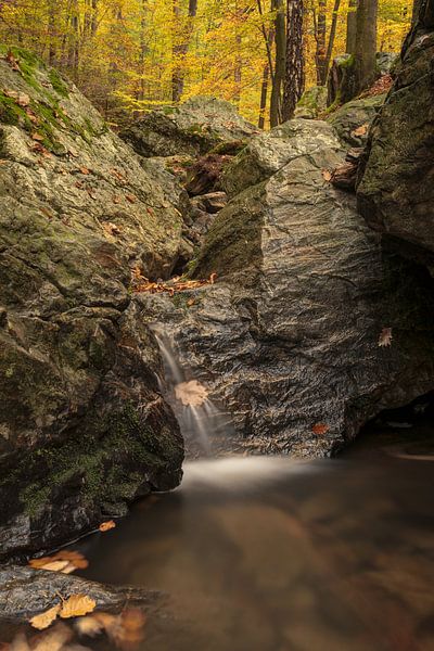 The rock in the river Ninglinspo von Francois Debets