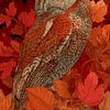 Gedetailleerd portret van een uil in de herfst van Pixelbull Design