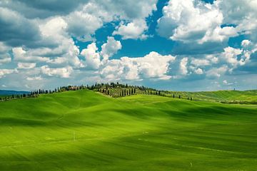 Tuscan hilly landscape by Ilya Korzelius