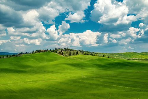Tuscan hilly landscape