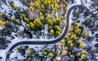 Drone view