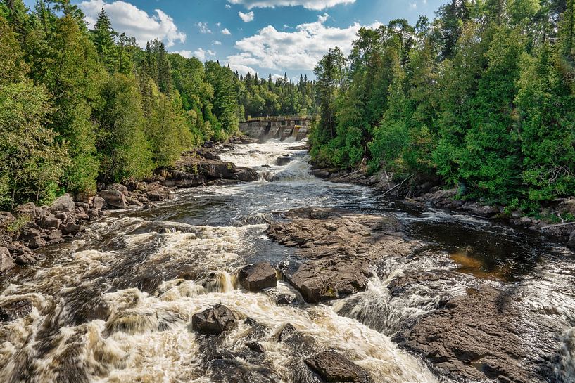 Rocks, water and trees by Vivo Fotografie