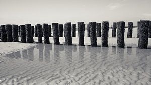 Plage en noir et blanc