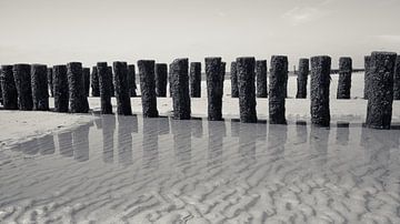 Beach in Black & White van Max ter Burg Fotografie