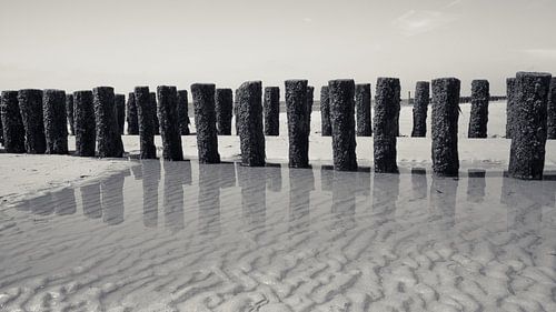 Plage en noir et blanc
