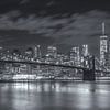 New York Skyline - Brooklyn Bridge 2016 (12) van Tux Photography