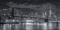 New York Skyline - Brooklyn Bridge 2016 (12)