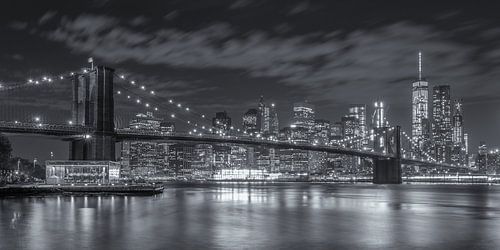 New York Skyline - Brooklyn Bridge 2016 (12)