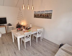 Lakenvelder koeien in de wei