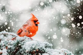 Cardinal in the snow by Poster Art Shop