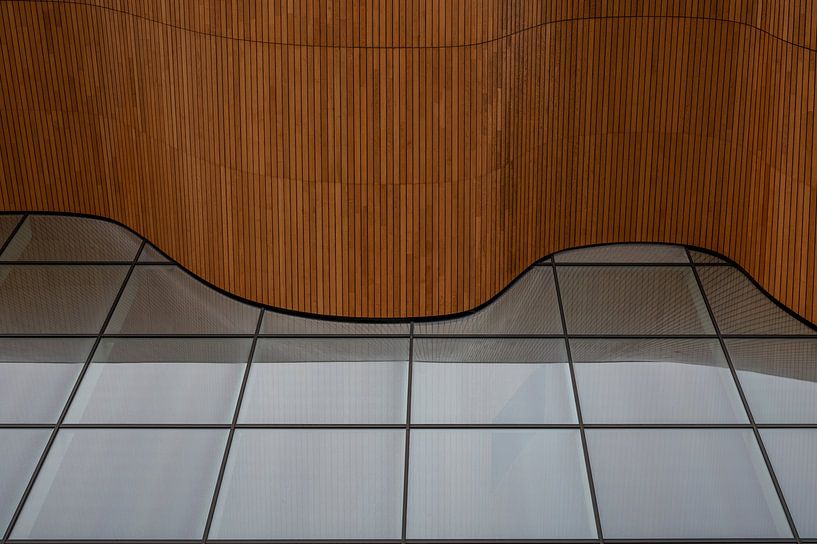 Facetime by Wim van de Water