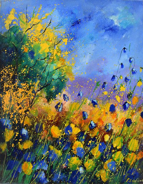 Sommerblumen von pol ledent