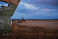 Doelwit "Lost Seagulls"