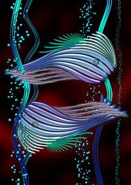 Pêche sur Helma Tielemans