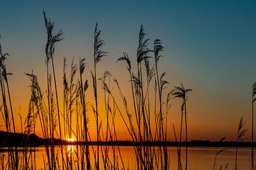 Zonsopgang in het Mecklemburgse merengebied