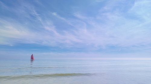 Sailing on a summer sunny day
