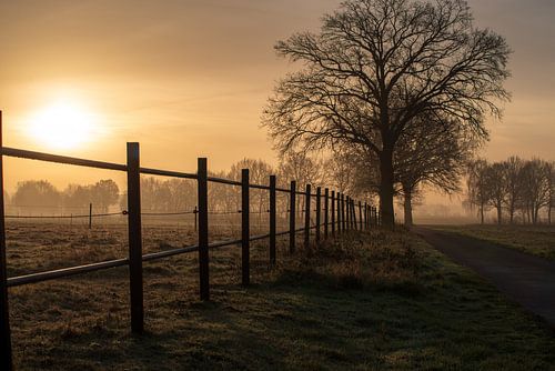 Wintermorgen am stillen Weg von Tanja Riedel