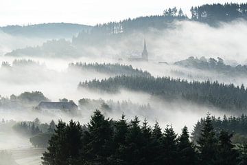 Vulkaneifel, Deutschland von Alexander Ludwig