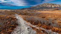 Autumn path in the mountains.