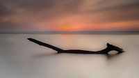 Nordsee-Holz