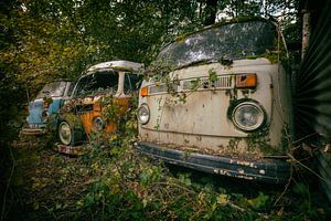 VW busjes