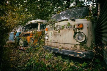 VW Vans by Vivian Teuns