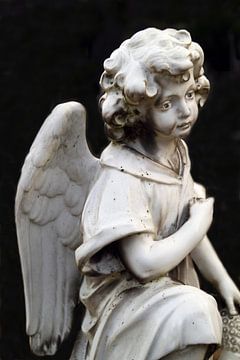 An angel of marble by Jolanta Mayerberg