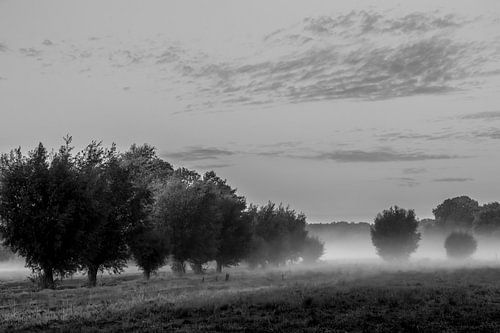 Foggy morning Opwierde Appingedam 6 by Johan van der Linde