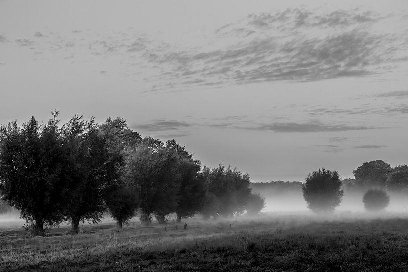 Foggy morning Opwierde Appingedam 6 by Johan van der Linde