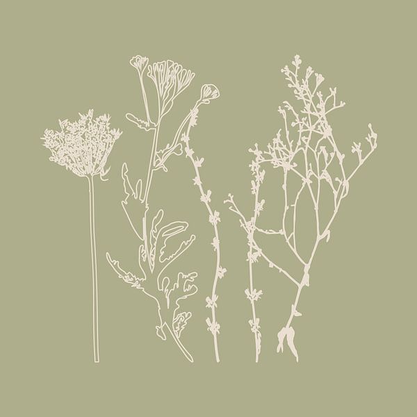 Summer flowers and grasses in white and sage II by Dina Dankers
