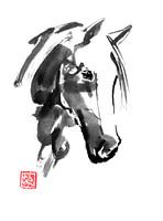 paardenkop 02