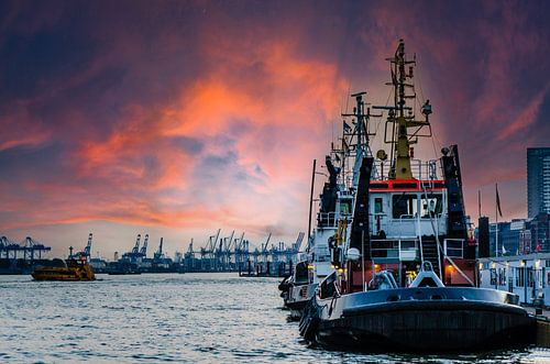 Sleepboot in de haven van Hamburg bij schemering