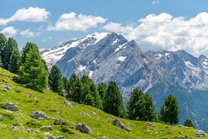 Die Dolomiten von Paul van Baardwijk