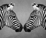 Nahaufnahme von zwei Zebras in Schwarz-Weiß von Marjolein van Middelkoop Miniaturansicht