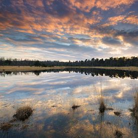 Reflection, zonsondergang in Brabant. van Rob Christiaans