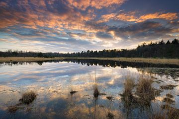 Reflection, zonsondergang in Brabant. van Rob Christiaans