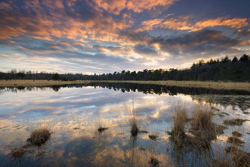 Reflection, zonsondergang in Brabant.