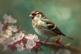 Kleiner Vogel in Blüten, voller sanfter Frühlingsfreude von Joriali Fine Art