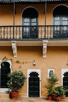 Pastel coloured yellow fortress in India with nice plants by Yvette Baur