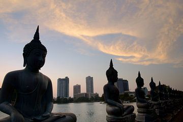 Statues de Bouddha sur George Haddad