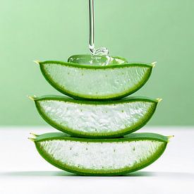 Drei übereinander gestapelte Aloe-Vera-Scheiben von Mustafa Kurnaz
