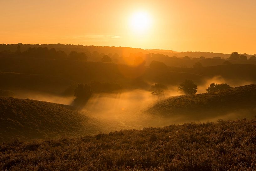 Posbank... Veluwe *Netherland* by wunderbare Erde