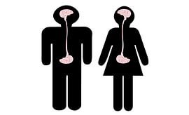 Enterisches Nervensystem von Grüntyers .