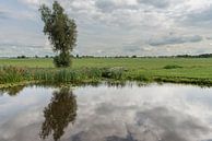 Reflection bean in Brandwijksche Vliet by Beeldbank Alblasserwaard thumbnail
