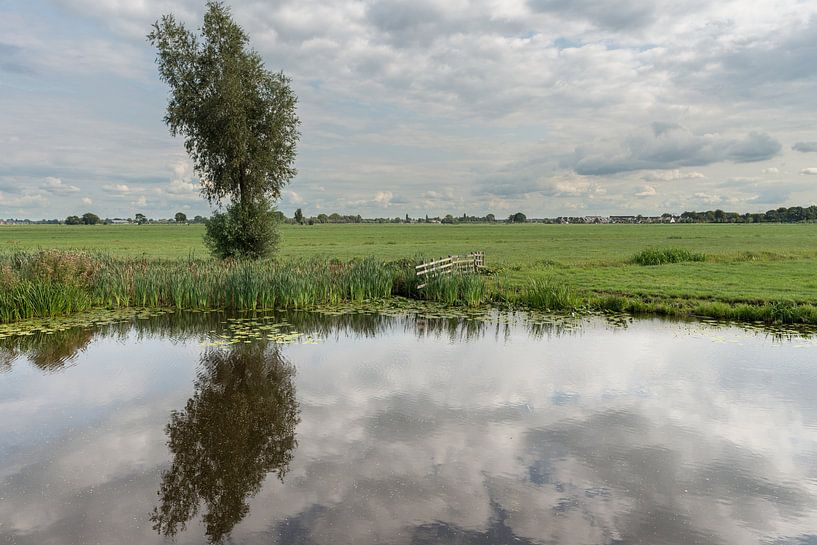Reflection bean in Brandwijksche Vliet by Beeldbank Alblasserwaard