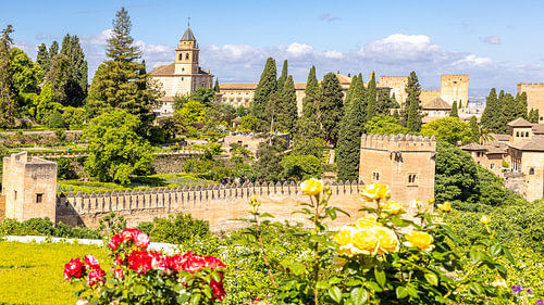 Mauern der Alhambra hinter blühenden Rosen