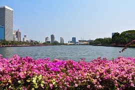 Der Lumphini Park in der thailändischen Großstadt Bangkok von David Esser
