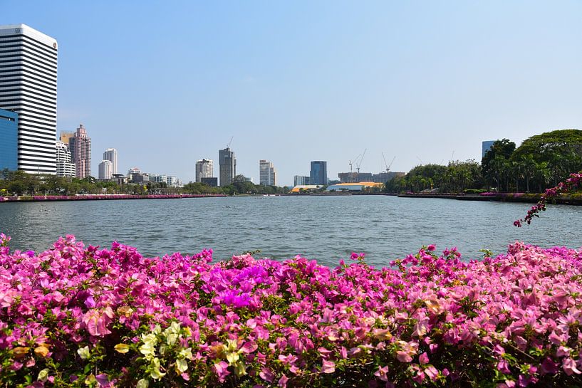 Parc Lumphini dans la métropole thaïlandaise de Bangkok par David Esser